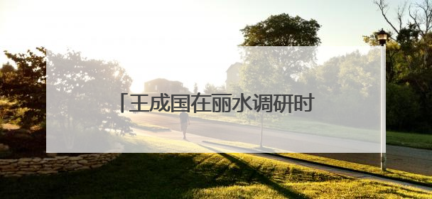 王成国在丽水调研时强调：以更高水平安全和法治环境服务保障山区海岛县高质量发展