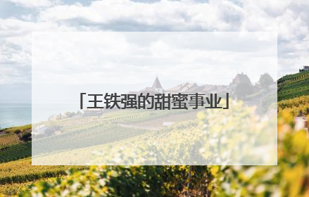 王铁强的甜蜜事业