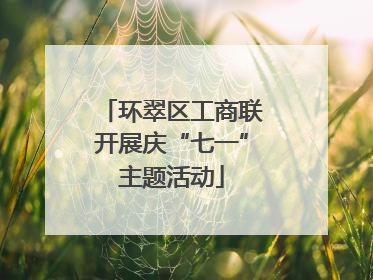 环翠区工商联开展庆“七一”主题活动