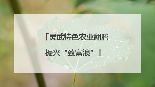 灵武特色农业翻腾振兴“致富浪”