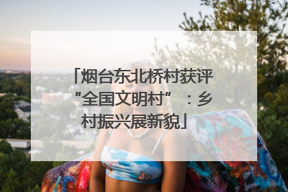 烟台东北桥村获评“全国文明村”：乡村振兴展新貌