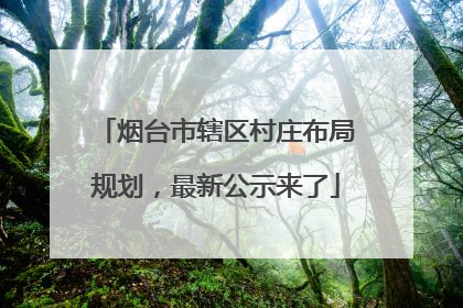 烟台市辖区村庄布局规划，最新公示来了