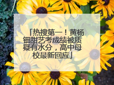 热搜第一！黄杨钿甜艺考成绩被质疑有水分，高中母校最新回应