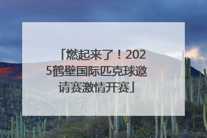 燃起来了！2025鹤壁国际匹克球邀请赛激情开赛