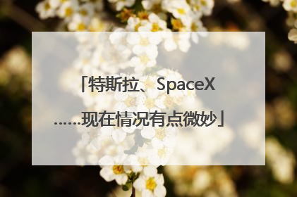 特斯拉、SpaceX……现在情况有点微妙