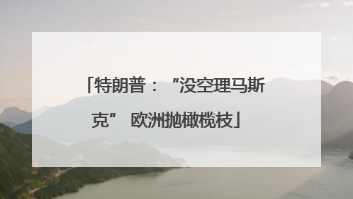 特朗普：“没空理马斯克” 欧洲抛橄榄枝