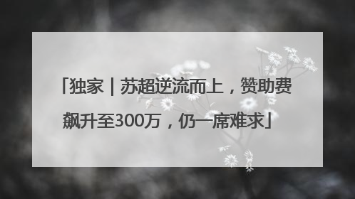 独家｜苏超逆流而上，赞助费飙升至300万，仍一席难求