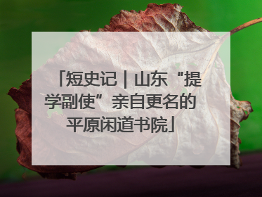 短史记｜山东“提学副使”亲自更名的平原闲道书院