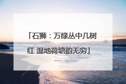 石狮：万绿丛中几树红 湿地荷塘韵无穷