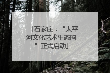 石家庄：“太平河文化艺术生态圈”正式启动