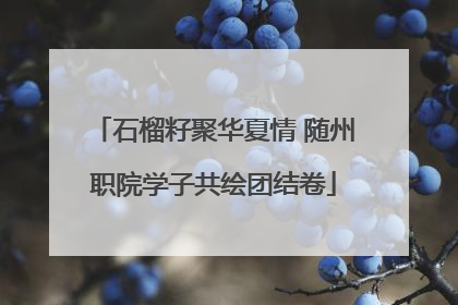 石榴籽聚华夏情 随州职院学子共绘团结卷
