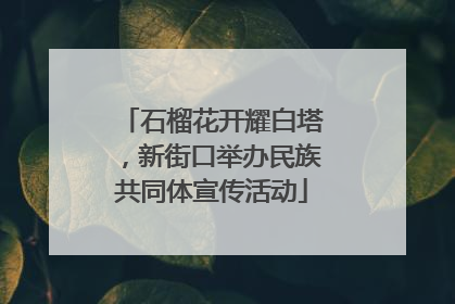 石榴花开耀白塔，新街口举办民族共同体宣传活动