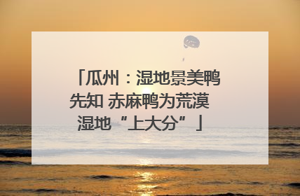 瓜州：湿地景美鸭先知 赤麻鸭为荒漠湿地“上大分”