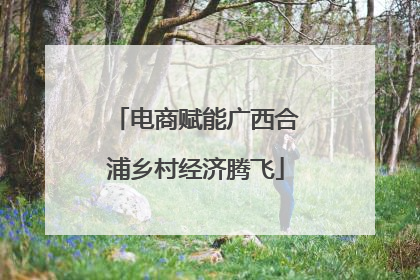 电商赋能广西合浦乡村经济腾飞