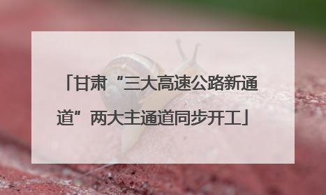 甘肃“三大高速公路新通道”两大主通道同步开工