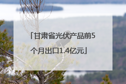 甘肃省光伏产品前5个月出口1.4亿元