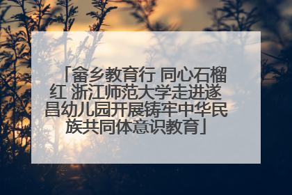 畲乡教育行 同心石榴红 浙江师范大学走进遂昌幼儿园开展铸牢中华民族共同体意识教育