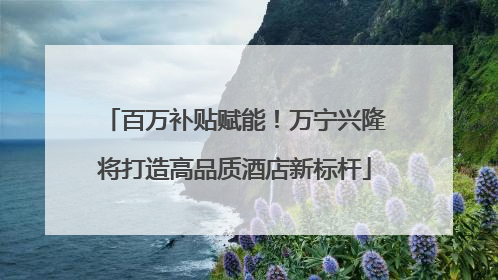 百万补贴赋能！万宁兴隆将打造高品质酒店新标杆