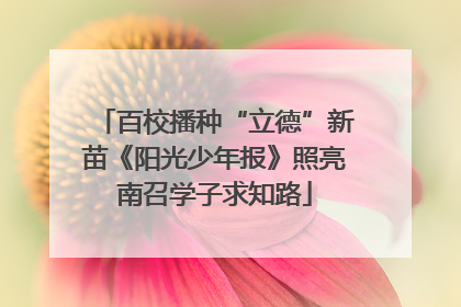 百校播种“立德”新苗《阳光少年报》照亮南召学子求知路