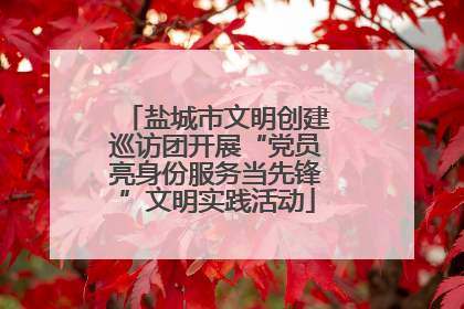 盐城市文明创建巡访团开展“党员亮身份服务当先锋”文明实践活动