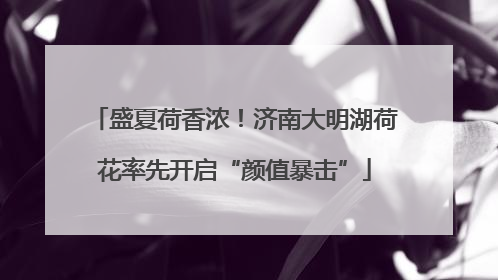 盛夏荷香浓！济南大明湖荷花率先开启“颜值暴击”