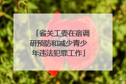 省关工委在宿调研预防和减少青少年违法犯罪工作