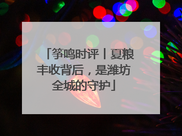 筝鸣时评丨夏粮丰收背后，是潍坊全城的守护