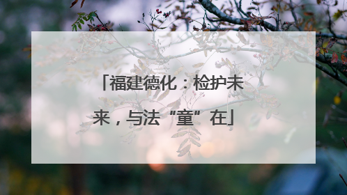 福建德化：检护未来，与法“童”在
