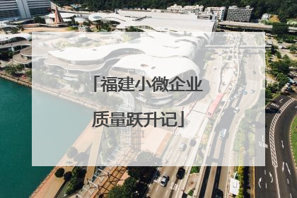 福建小微企业质量跃升记