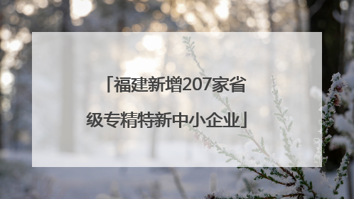 福建新增207家省级专精特新中小企业