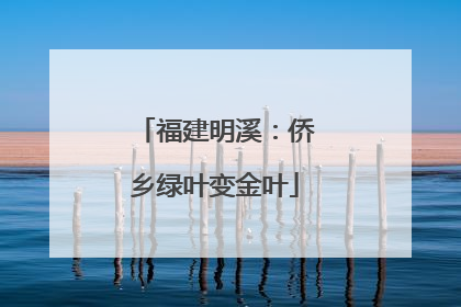 福建明溪：侨乡绿叶变金叶