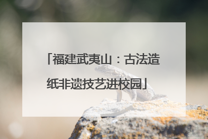 福建武夷山：古法造纸非遗技艺进校园