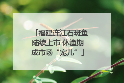福建连江石斑鱼陆续上市 休渔期成市场“宠儿”