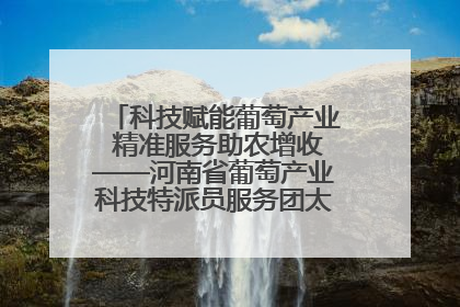 科技赋能葡萄产业 精准服务助农增收——河南省葡萄产业科技特派员服务团太康县科技服务纪实
