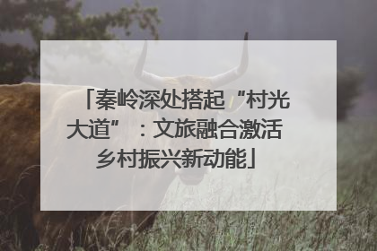秦岭深处搭起“村光大道”：文旅融合激活乡村振兴新动能