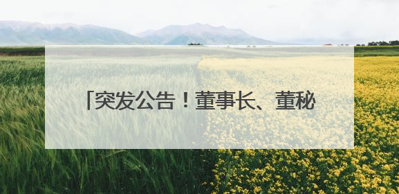 突发公告！董事长、董秘、副总经理集体辞职！