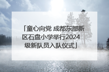 童心向党 成都东部新区石盘小学举行2024级新队员入队仪式