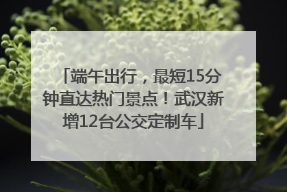 端午出行，最短15分钟直达热门景点！武汉新增12台公交定制车
