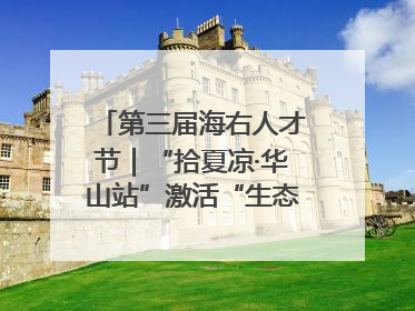 第三届海右人才节｜“拾夏凉·华山站”激活“生态聚才”强磁场
