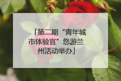 第二期“青年城市体验官”悠游兰州活动举办