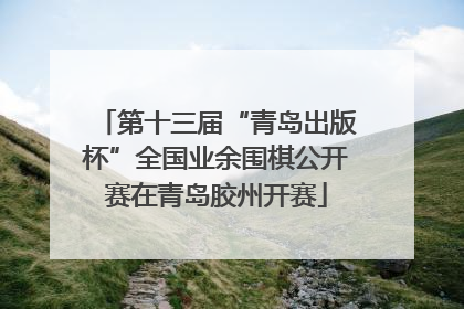 第十三届“青岛出版杯”全国业余围棋公开赛在青岛胶州开赛