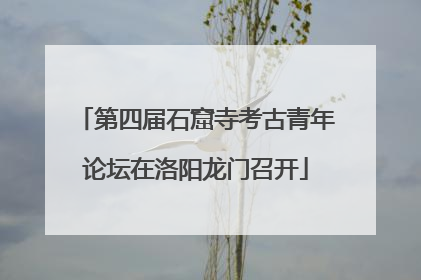第四届石窟寺考古青年论坛在洛阳龙门召开