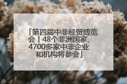 第四届中非经贸博览会丨48个非洲国家、4700多家中非企业和机构将参会