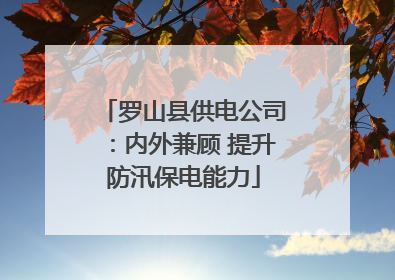 罗山县供电公司：内外兼顾 提升防汛保电能力