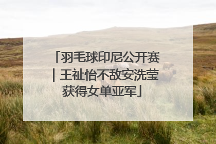 羽毛球印尼公开赛｜王祉怡不敌安洗莹 获得女单亚军