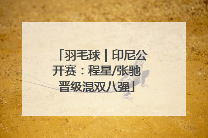 羽毛球｜印尼公开赛：程星/张驰晋级混双八强