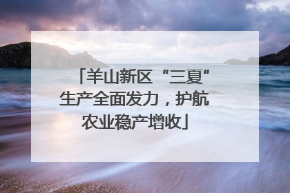 羊山新区“三夏”生产全面发力，护航农业稳产增收