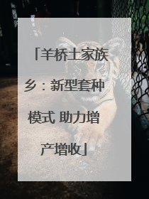 羊桥土家族乡：新型套种模式 助力增产增收