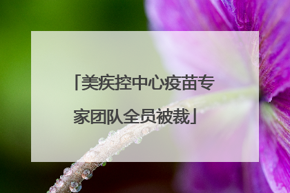 美疾控中心疫苗专家团队全员被裁