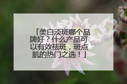 美白淡斑哪个品牌好？什么产品可以有效祛斑，斑点肌的热门之选！